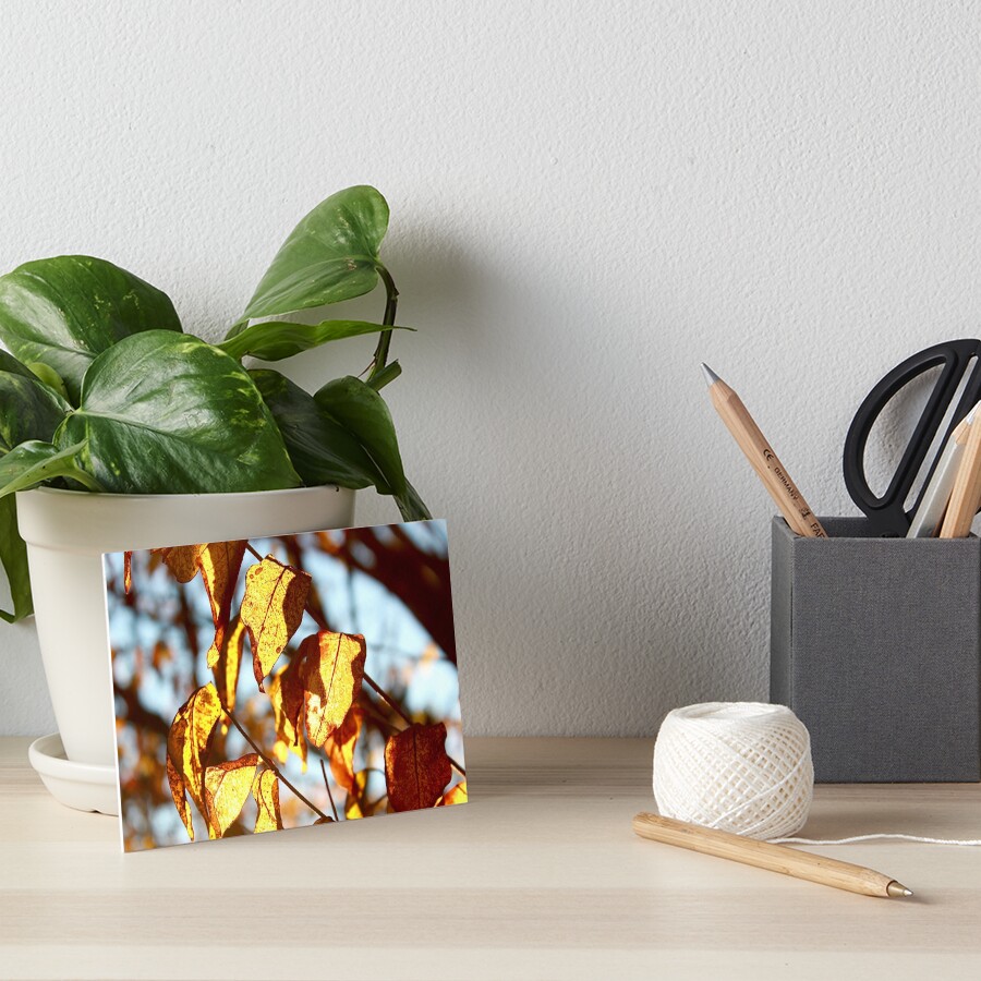 Item preview, Art Board Print designed and sold by KERNALS.