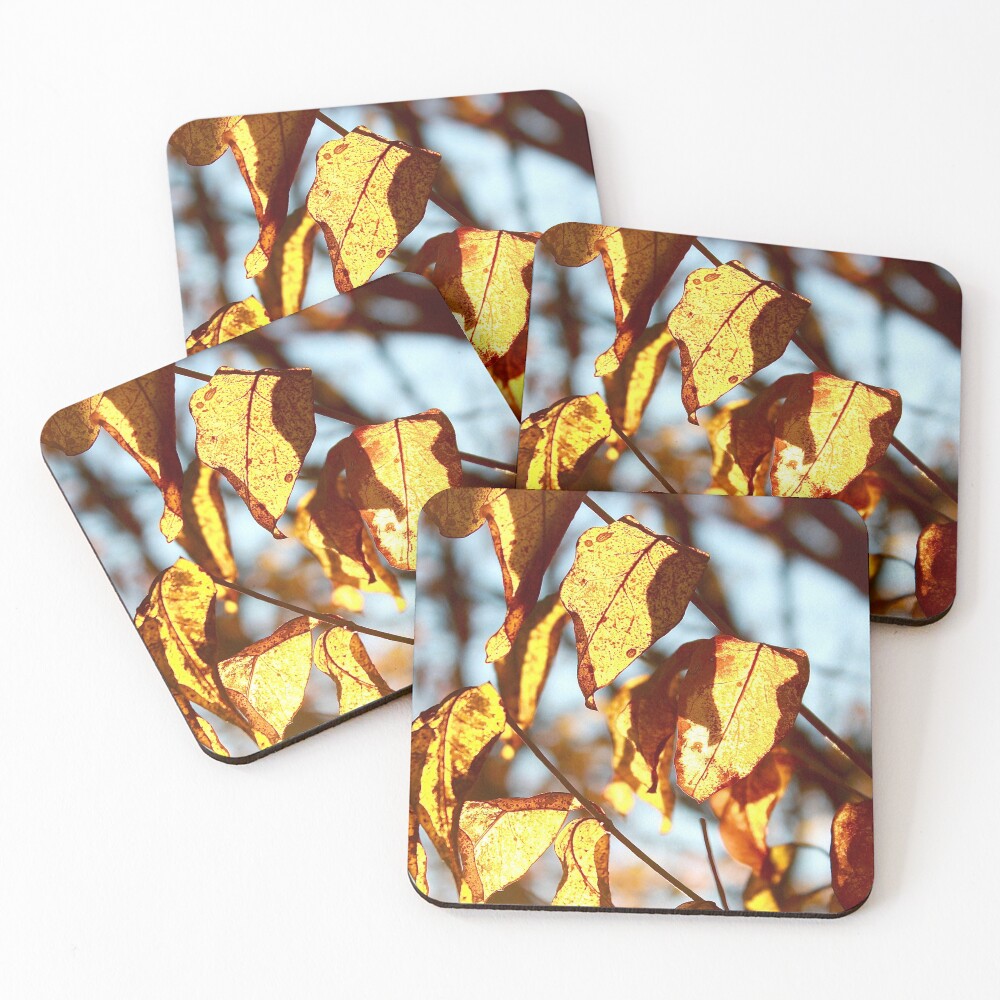 Item preview, Coasters (Set of 4) designed and sold by KERNALS.