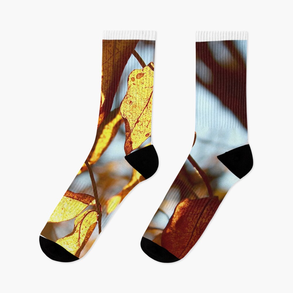 Artikel-Vorschau von Socken, designt und verkauft von KERNALS.