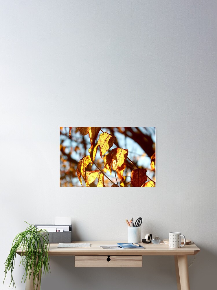 Thumbnail 2 of 3, Poster, Fire Fall designed and sold by KERNALS.