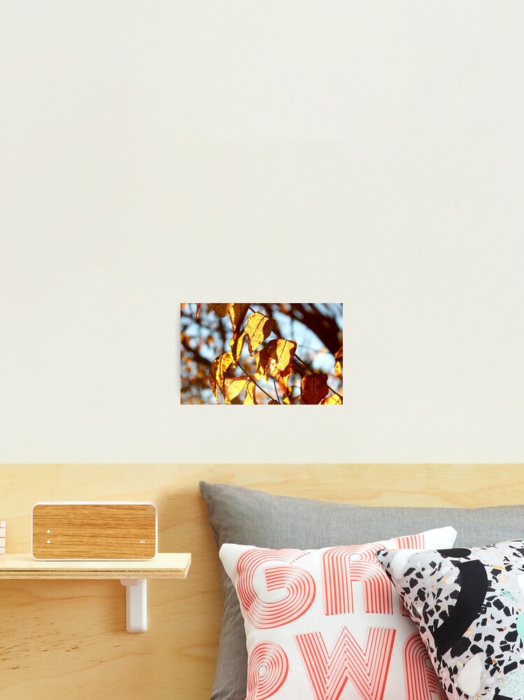 Thumbnail 2 of 3, Photographic Print, Fire Fall designed and sold by KERNALS.