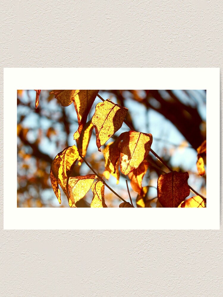 Thumbnail 1 of 3, Art Print, Fire Fall designed and sold by KERNALS.