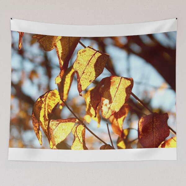 Tapestry