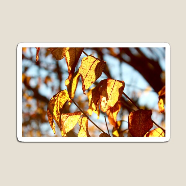Item preview, Fire Fall designed and sold by KERNALS.
