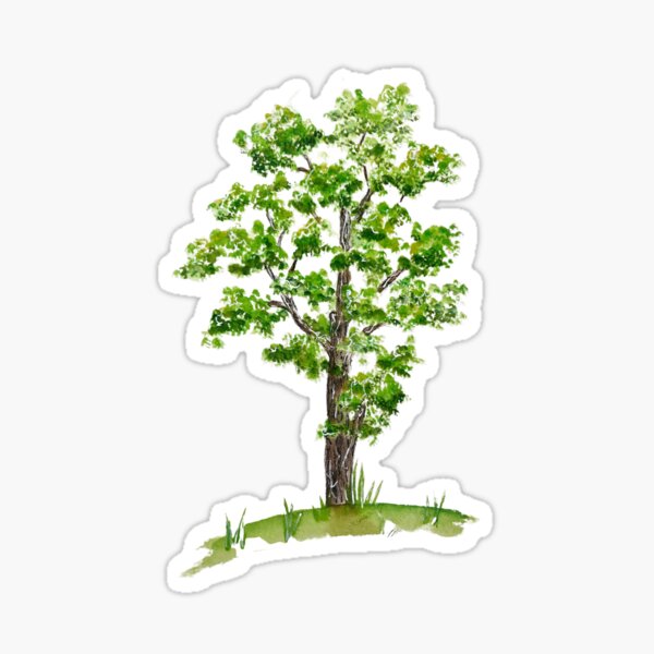 little tree Sticker