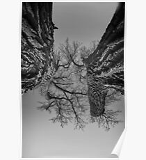 Dueling Brothers Fighting Trees Poster