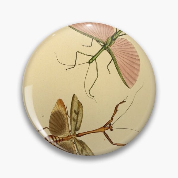 Item preview, Naturalist Stick Insects designed and sold by BlueSpecsStudio.