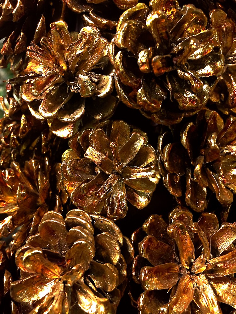 Golden Pine Cones by douglasewelch