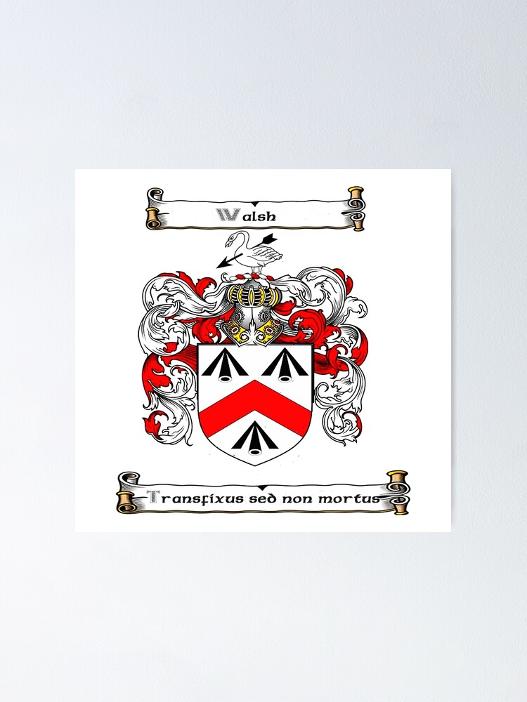 Walsh Family Crest Poster By Hibernia29 Redbubble