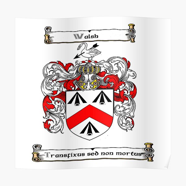 Family Crest Posters Redbubble