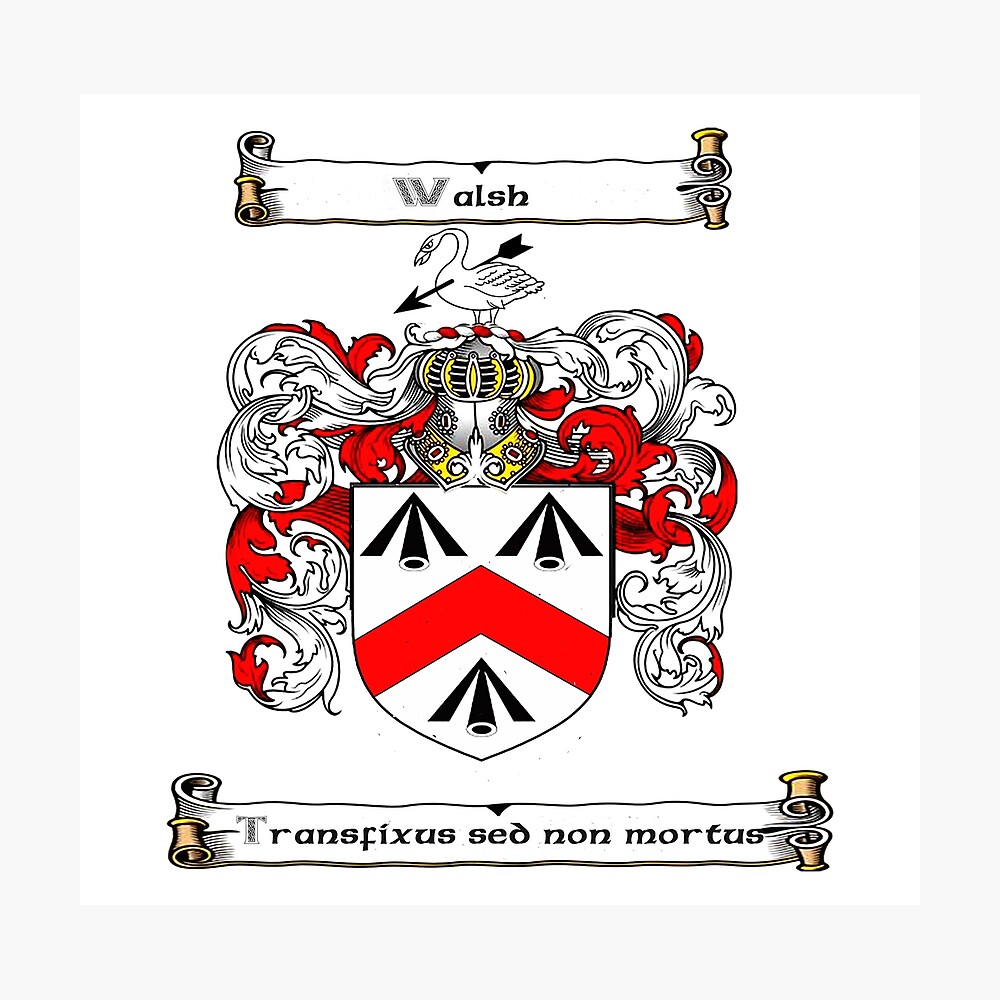 Walsh Family Crest Poster By Hibernia29 Redbubble