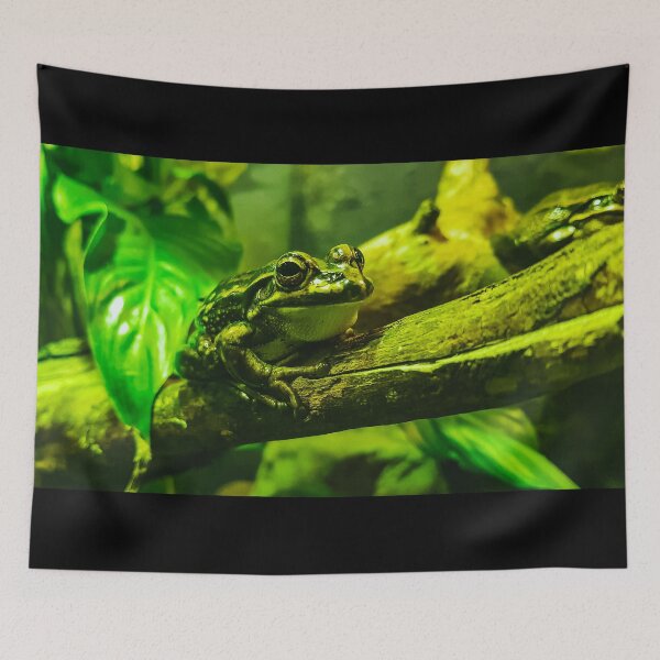 Item preview, Frog on a log designed and sold by ChloePorter17.