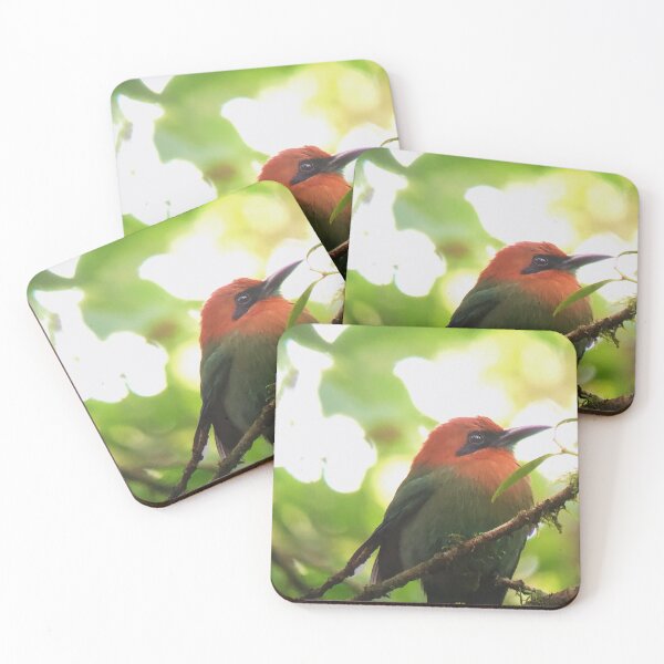 Item preview, Costa Rican Bird designed and sold by mgibbons131.