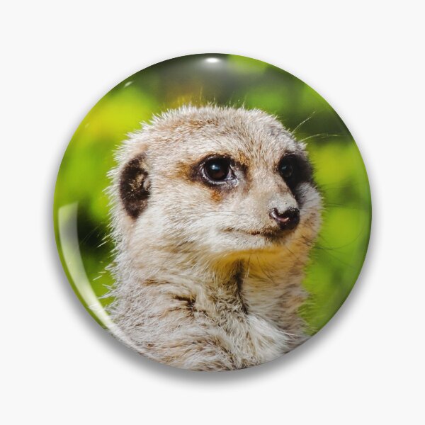 Item preview, Meerkat designed and sold by ChloePorter17.