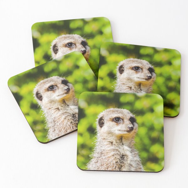 Item preview, Meerkat designed and sold by ChloePorter17.