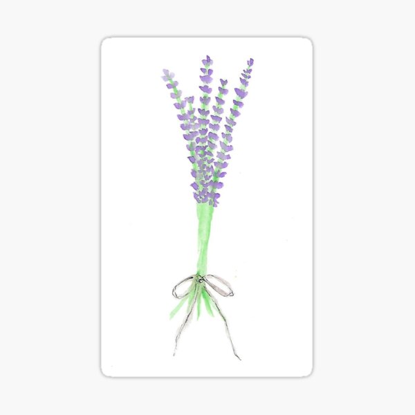 "Lavender" Sticker for Sale by charlotteselby Redbubble