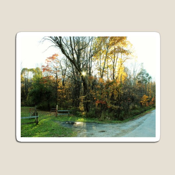Item preview, Chasing the Autumn Sun  designed and sold by Birdie West.