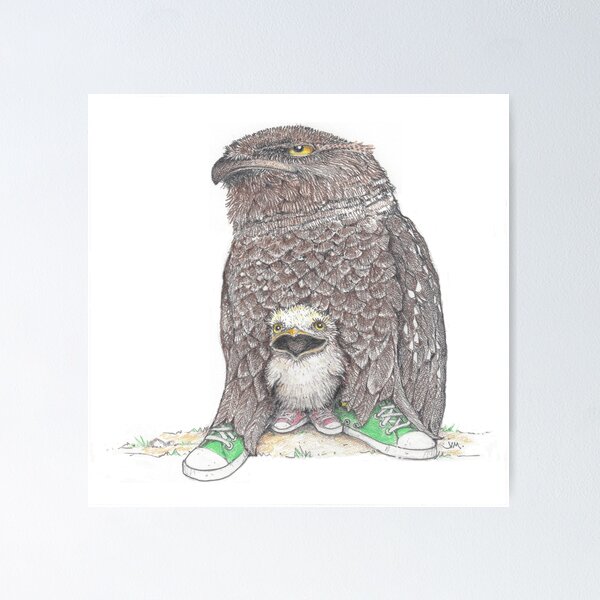 Item preview, frog mouthed owl and baby in low tops designed and sold by JimsBirds.