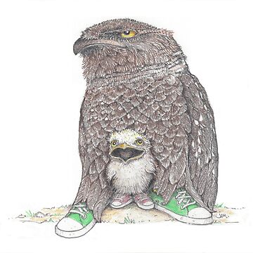Artwork thumbnail, frog mouthed owl and baby in low tops by JimsBirds
