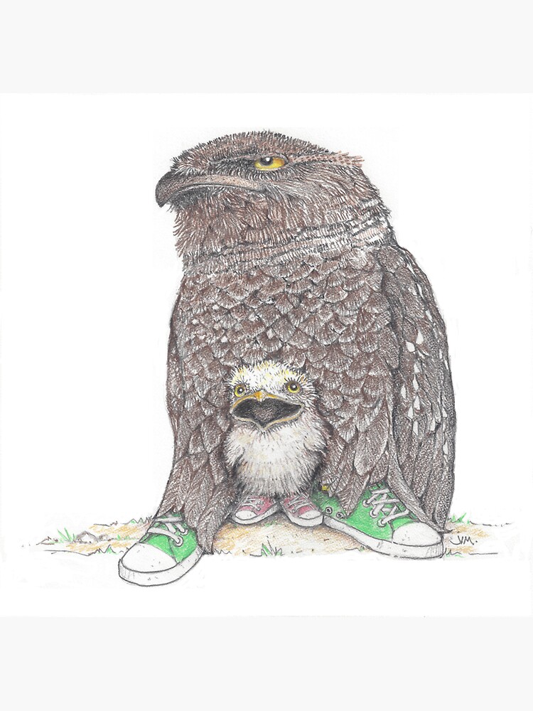 Thumbnail 3 of 3, Sticker, frog mouthed owl and baby in low tops designed and sold by JimsBirds.
