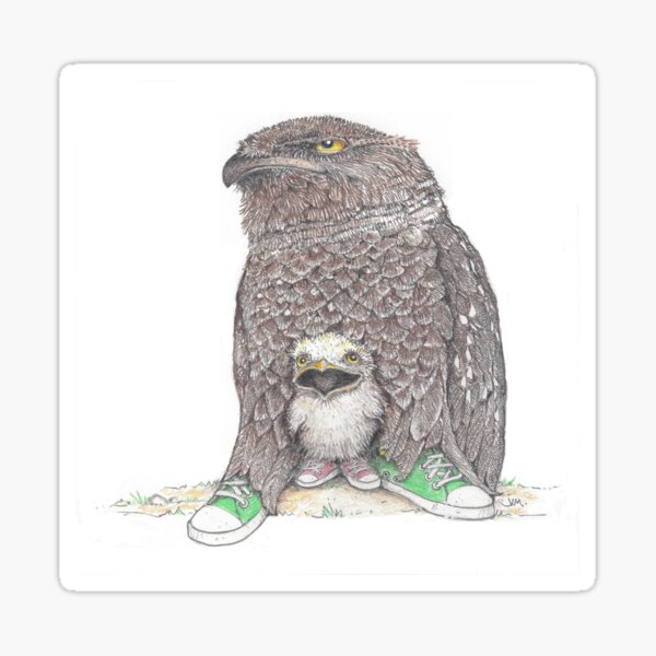 Item preview, frog mouthed owl and baby in low tops designed and sold by JimsBirds.