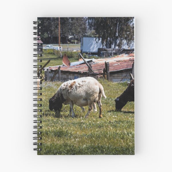 Aperçu de l'œuvre Sheepy créée et vendue par CarletonArt.