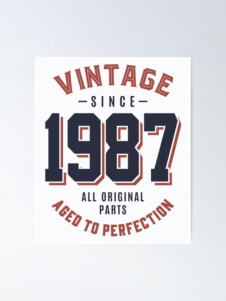 Vintage Since 1987 Birthday Gift Vintage Since 1987 Birthday Gift