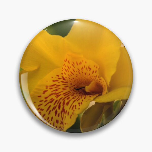 Item preview, cli daffodil designed and sold by pcfyi.