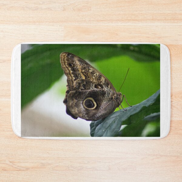 Item preview, ali restful designed and sold by pcfyi.