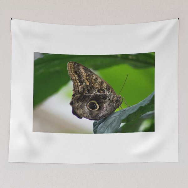 Item preview, ali restful designed and sold by pcfyi.