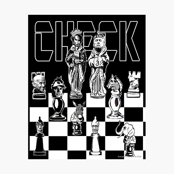 Check Photographic Print