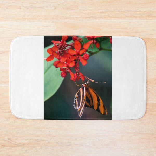 Item preview, ali monarch designed and sold by pcfyi.