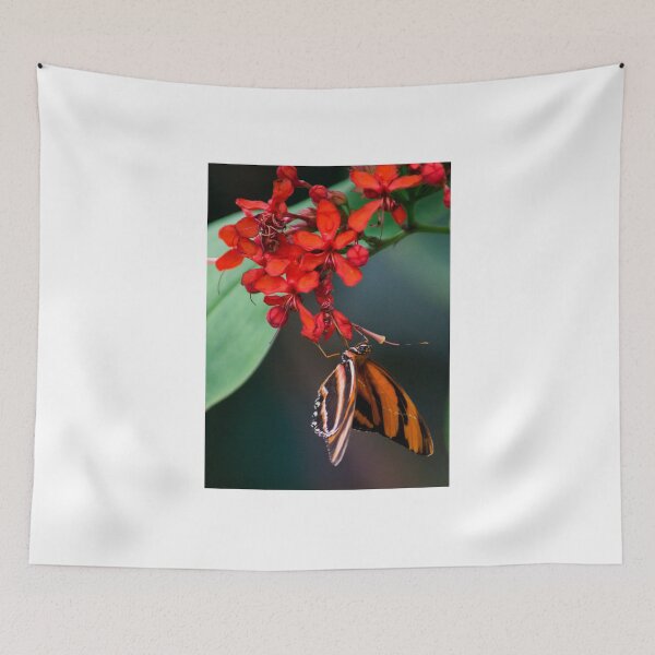 Item preview, ali monarch designed and sold by pcfyi.