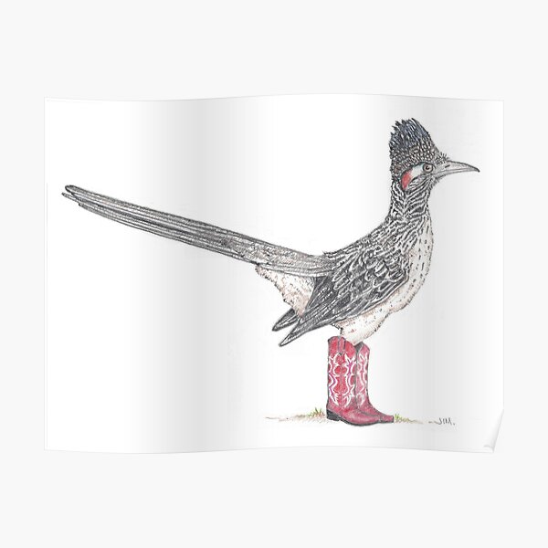 Roadrunner in cowboy boots Poster