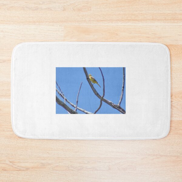 Item preview, ali meadowlark designed and sold by pcfyi.