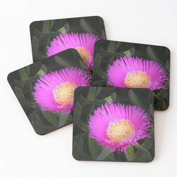 Item preview, Pink Ice Plant Flower designed and sold by Anna Lemos.
