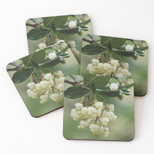 Item preview, Strawberry Tree Flowering Branch White Flowers designed and sold by Anna Lemos.