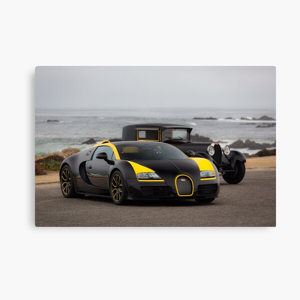 Evolution Excellence Canvas Print