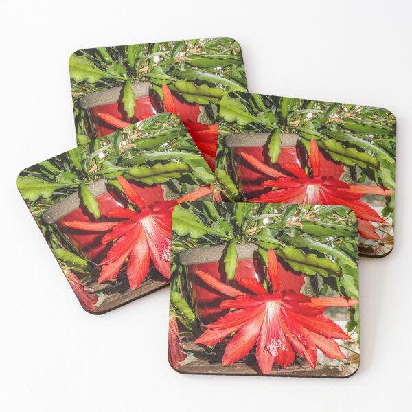 Item preview, Orchid Cactus in Red designed and sold by Bryan Spellman.
