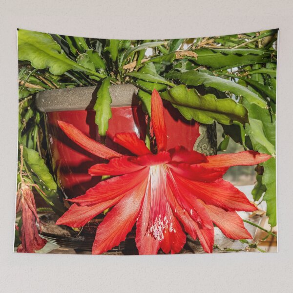 Item preview, Orchid Cactus in Red designed and sold by Bryan Spellman.