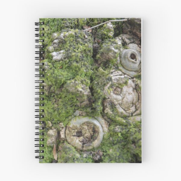 Artikelvorschau, KNOTEN MIT GRÜNEN LICHEN entworfen und verkauft von kazaroodie.