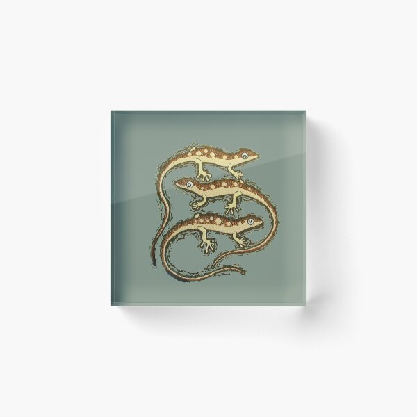 Item preview, geckos are cool designed and sold by granprints.
