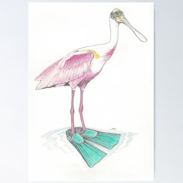 Item preview, spoonbill in swim fins designed and sold by JimsBirds.