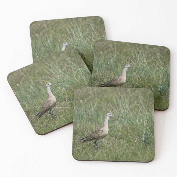 Item preview, ali ibis designed and sold by pcfyi.