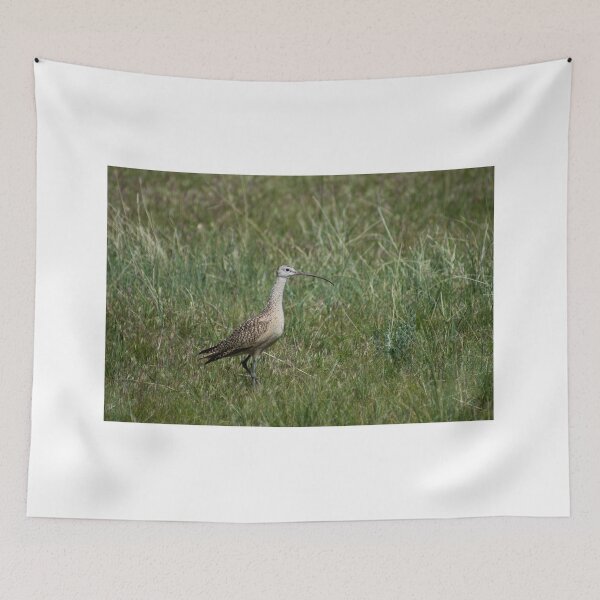 Item preview, ali ibis designed and sold by pcfyi.