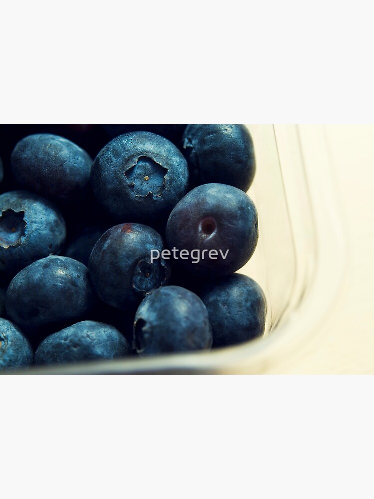 Day 204 - 30th January 2012 by petegrev