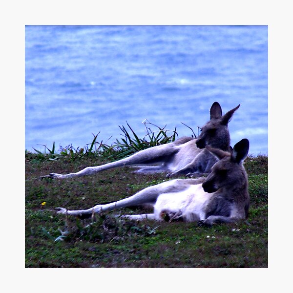 Item preview, Darby and Joan enjoying retirement designed and sold by myraj.