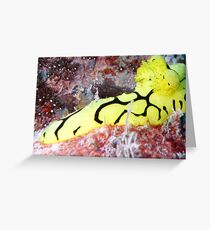 NUDIBRANCH Greeting Card