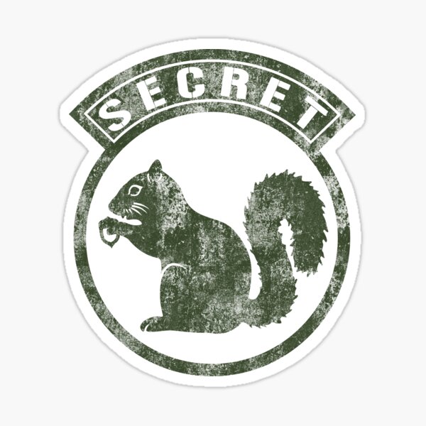 2nd Lt funny Morale Patch - Secret Squirrel