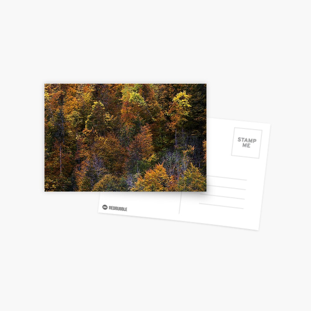 Item preview, Postcard designed and sold by patmo.